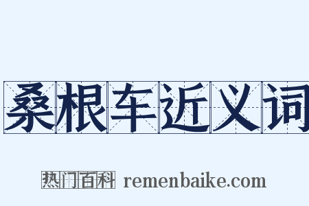 桑根车近义词是什么意思的图片